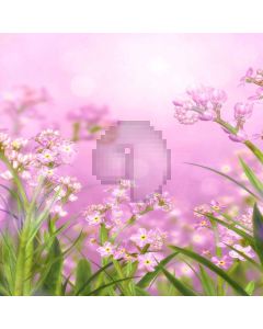 Lovely Flowers Digital Printed Photography Backdrop YHB-222