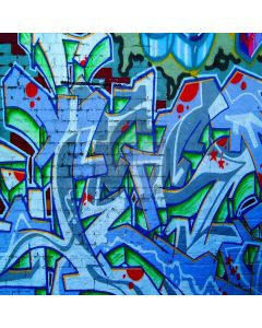 Younger Graffiti Digital Printed Photography Backdrop YHB-233