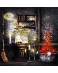 Magic Room Digital Printed Photography Backdrop YHB-251
