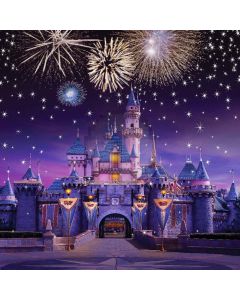 Huge Castle Digital Printed Photography Backdrop YHB-265