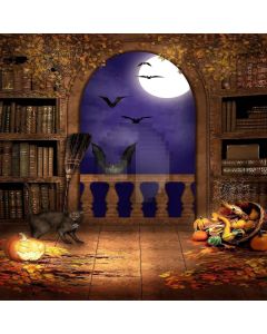 Horrible Night Digital Printed Photography Backdrop YHB-269