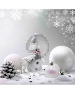 Lovely Snowman Digital Printed Photography Backdrop YHB-279