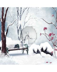 Snow View Digital Printed Photography Backdrop YHB-282