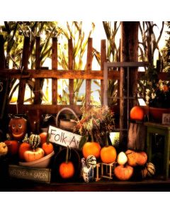 Many Pumpkins Digital Printed Photography Backdrop YHB-286