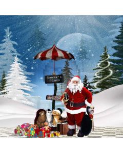 Santa's Place Digital Printed Photography Backdrop YHB-302
