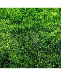 Lawn Computer Printed Photography Backdrop YKY-015