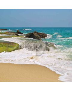 Coastal Scenic  Computer Printed Photography Backdrop YKY-031