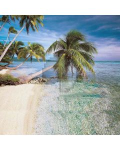 Vast Expanse Of Sea Computer Printed Photography Backdrop YKY-055