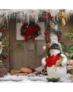 Cute Snowman Computer Printed Photography Backdrop YKY-100