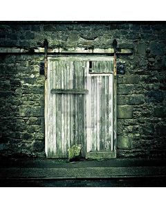 Shabby Door  Computer Printed Photography Backdrop YKY-115