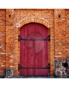 Door With Stone Wall  Computer Printed Photography Backdrop YKY-117