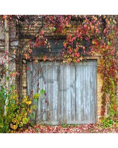 Plants Nestled Wooden Door Computer Printed Photography Backdrop YKY-118
