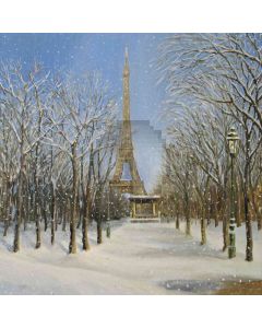 Snow  Tower  Computer Printed Photography Backdrop YKY-148