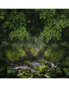 Green Leaves  Computer Printed Photography Backdrop YKY-162
