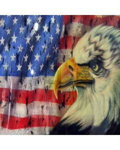 American flag and eagle Computer Printed Photography Backdrop ZJZ-006