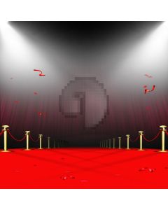 Empty Red Carpet Computer Printed Photography Backdrop ZJZ-010