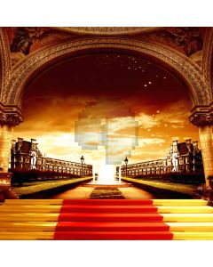 Stairs To Outside Computer Printed Photography Backdrop ZJZ-015