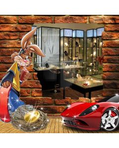 Jewelry Shop Behind The Wall Computer Printed Photography Backdrop ZJZ-026