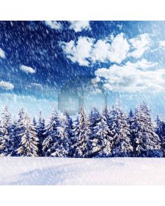 Heavy snow covered pines Computer Printed Photography Backdrop ZJZ-066