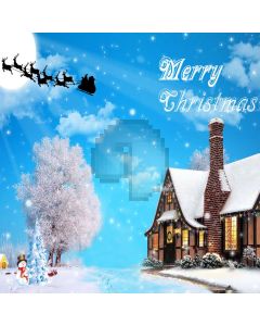 Merry Christmas Computer Printed Photography Backdrop ZJZ-067