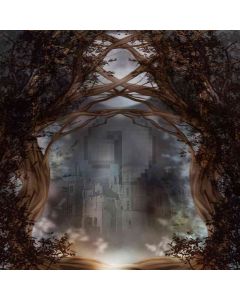 Spooky Castle Computer Printed Photography Backdrop ZJZ-089