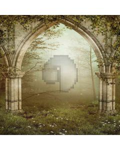 Foggy Backyard Computer Printed Photography Backdrop ZJZ-092