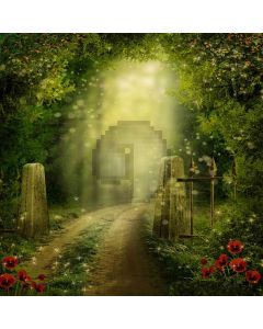 Way To The Woods Computer Printed Photography Backdrop ZJZ-095