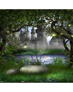Outside Of The Castle Computer Printed Photography Backdrop ZJZ-097