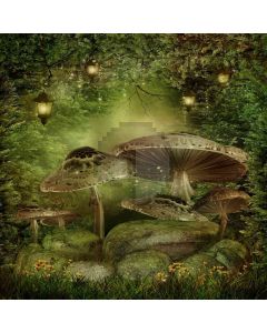 Giant Mushrooms Computer Printed Photography Backdrop ZJZ-098