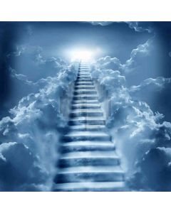 Long Stairs To The Sky Computer Printed Photography Backdrop ZJZ-116