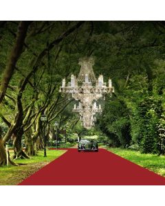 Fancy Car On Red Carpet Computer Printed Photography Backdrop ZJZ-120