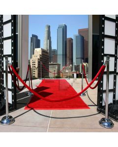 Red Carpet To The City Computer Printed Photography Backdrop ZJZ-121