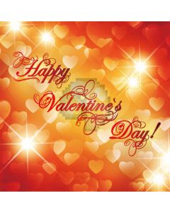 Happy Valentine's Day Computer Printed Photography Backdrop ZJZ-122