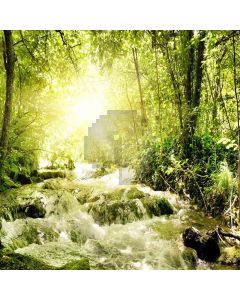 Rivulet In The Woods Computer Printed Photography Backdrop ZJZ-140