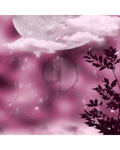Bright full moon white clouds Computer Printed Photography Backdrop ZJZ-145