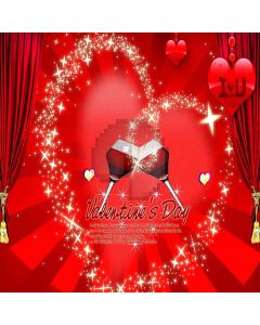 Valentine Computer Printed Photography Backdrop ZJZ-153