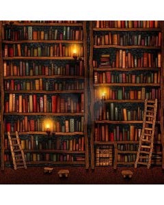 Dark Shelf Computer Printed Photography Backdrop ZJZ-173