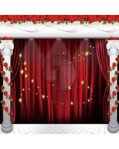 Ready To Be Shown Computer Printed Photography Backdrop ZJZ-177