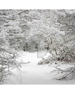 Snow World Computer Printed Photography Backdrop ZJZ-178