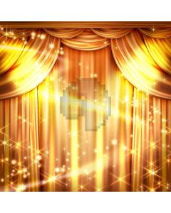 Golden Curtain Computer Printed Photography Backdrop ZJZ-183