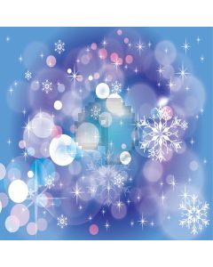 Bright light spot snowflakes Computer Printed Photography Backdrop ZJZ-192