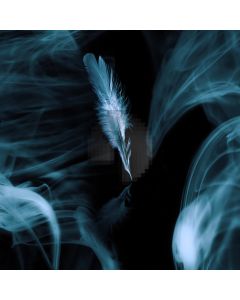 Feathers smoke floc Computer Printed Photography Backdrop ZJZ-197