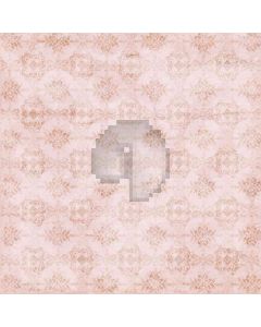 Royal Pattern Computer Printed Photography Backdrop ZJZ-234