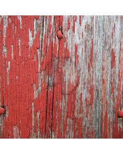 Fading Colored Wood Computer Printed Photography Backdrop ZJZ-245
