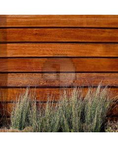 Growing Under The Fence Computer Printed Photography Backdrop ZJZ-259