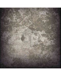 Fading Wall Computer Printed Photography Backdrop ZJZ-264