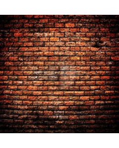Brick Wall Computer Printed Photography Backdrop ZJZ-271