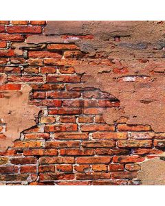 Brick Wall Computer Printed Photography Backdrop ZJZ-272