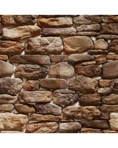 Messy Brick Wall Computer Printed Photography Backdrop ZJZ-273
