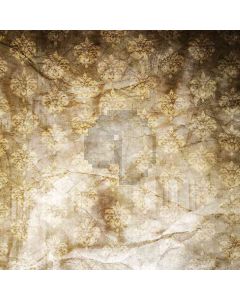 Pied Wall Computer Printed Photography Backdrop ZJZ-284